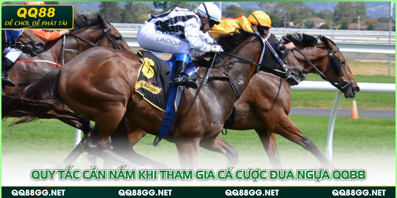 Quy tắc cần nắm khi tham gia cá cược đua ngựa QQ88